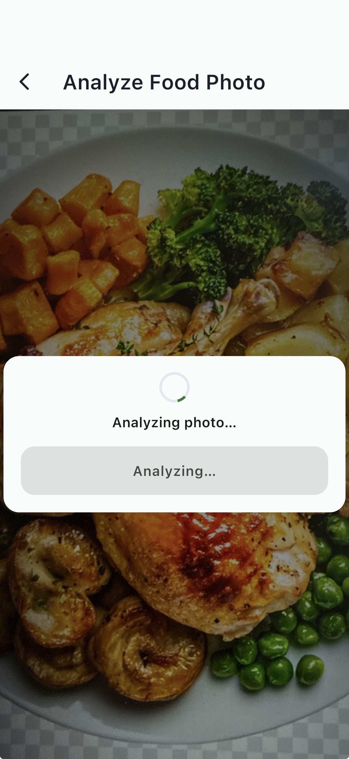 AI photo analysis state